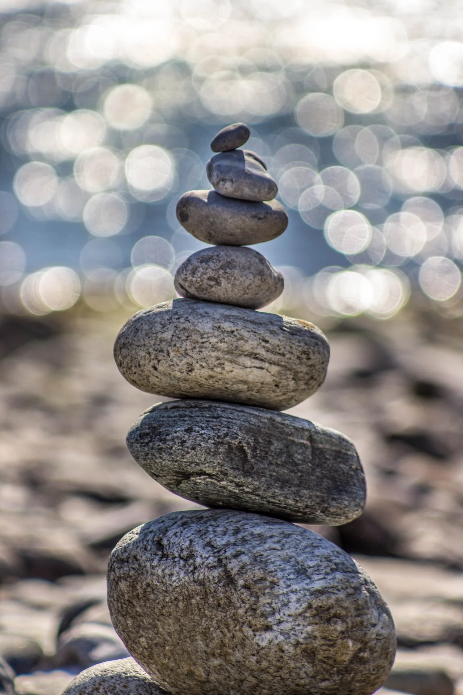 Call for Papers: Buddhist-Christian Studies Journal